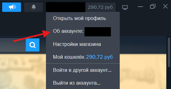 Меню Steam: красной стрелкой отмечен пункт «Об аккаунте»